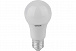 Лампа "груша" светодиодная OSRAM Antibacterial 8,5W 806lm  6500К E27 (замена 75 Вт)
